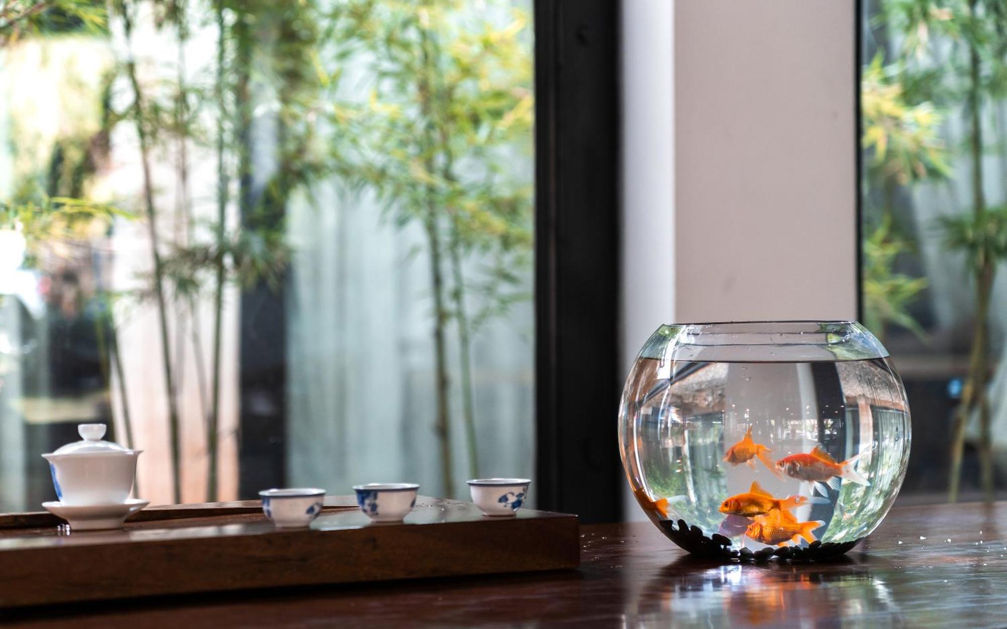 Lijiang Gemmer Hotel Zewnętrze zdjęcie